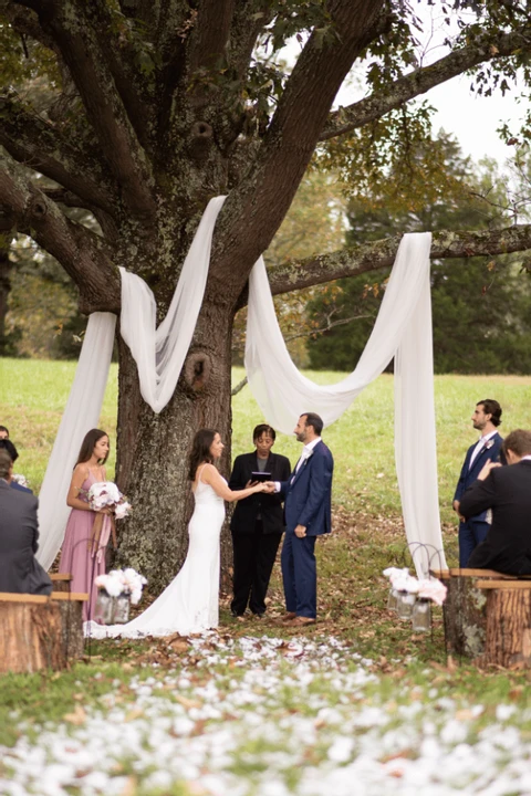 Rock Spring Mountain Farm