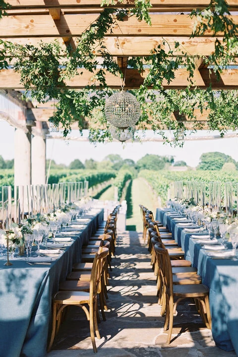 Wolffer Estate Vineyard