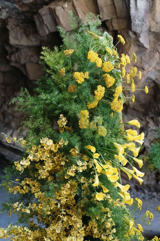 A Mountain Wedding for Jordan and Jack