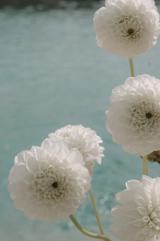 A Sun-Washed Wedding for Michaela and Jimmy