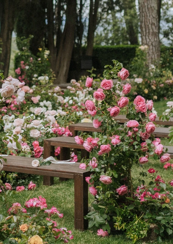 A Garden Wedding for Sarah and James