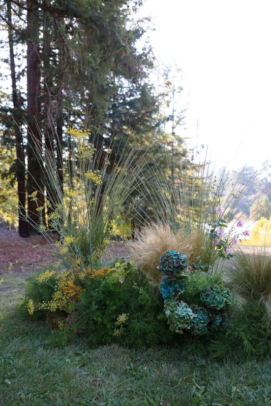 A Colorful Wedding for Sarah and Steven