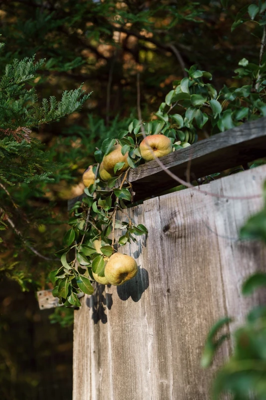 A Colorful Wedding for Sarah and Steven