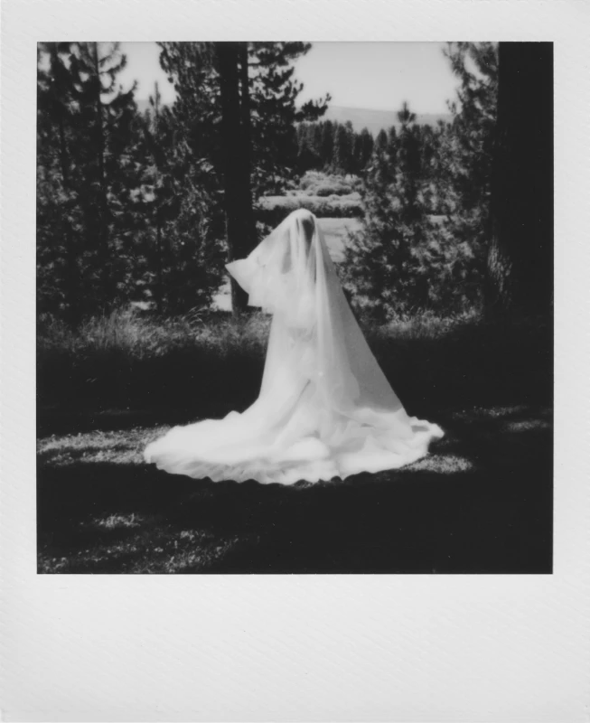 A Whimsical Wedding for Sydney and Kurt